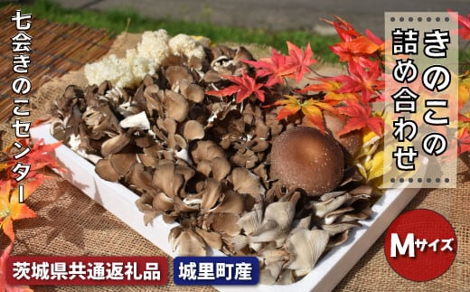 
                  きのこの詰め合わせ　Mサイズ（茨城県共通返礼品・城里町産）
                