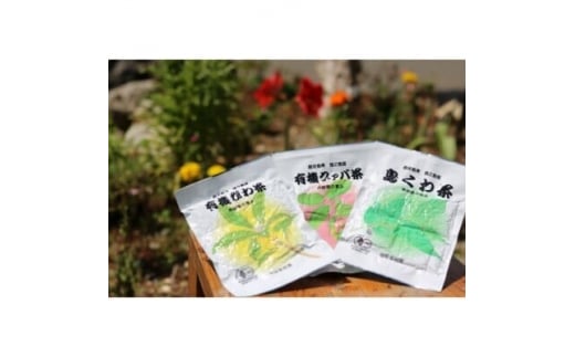 
福留果樹園の健康茶セット【1407340】
