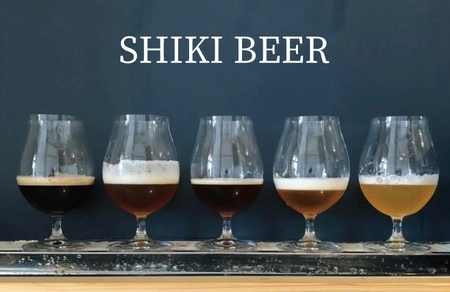 クラフトビール　お楽しみ6本セット（330ml×6本）