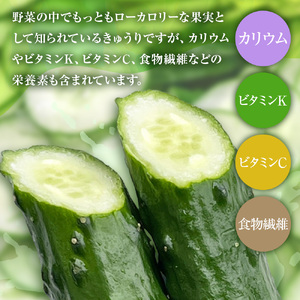 きゅうり 2kg 2キロ キュウリ 野菜 新鮮 サラダ 漬物 浅漬け ぬか漬け 酢の物 炒め物 健康 高知県 土佐清水市【R01451】