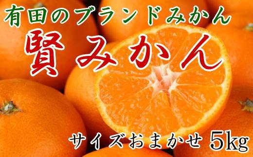 定期便全3回【8月・10月・12月発送】和歌山有田産の季節のフルーツ定期便（梨・ゆら早生みかん・賢みかん）