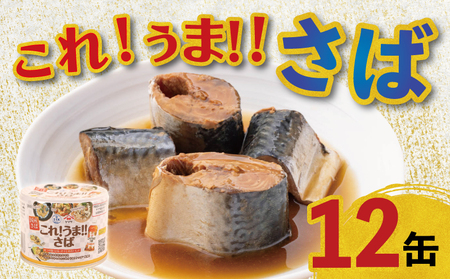 【 缶詰 】 さば缶詰 12缶 | 缶詰 これ！！うま！！つゆ使用 さば 味付缶詰