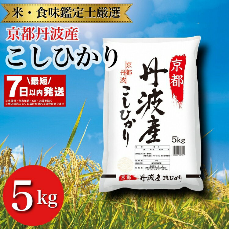 【ふるさと納税】【最短7日以内発送】令和6年産 京都丹波産 こしひかり 米 5kg ※米食味鑑定士厳選 ※精米したてをお届け【京都伏見のお米問屋が精米】米 ※沖縄本島・離島への配送不可