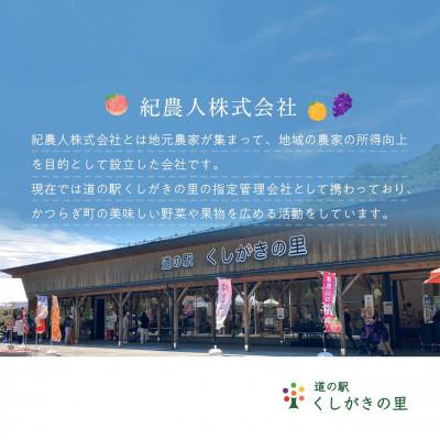 ふるさと納税 美浜町 先行予約!　紀の川柿(果実の中身が黒い!黒蜜柿)希少栽培!　秀品6個〜9個　こだわり農家厳選! |  | 03