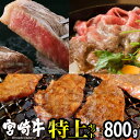 【ふるさと納税】宮崎牛特上セット(合計800g) ロース ステーキ 霜降り スライス バラ 焼肉 牛肉 精肉 お肉 黒毛和牛 ブランド和牛 お取り寄せ 冷凍 国産 宮崎県【SG018】【株式会社SHINGAKI】