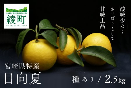 初春の旬「日向夏」種あり2.5kg【先行受付】日向夏 種あり 2.5kg 先行受付 2026年発送 ニューサマーオレンジ 柑橘 みかん ギフト 贈答