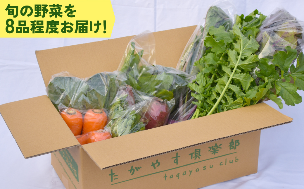有機農業の第一人者 たがやす倶楽部 齊藤 完一さんの「季節の野菜セット」  SMCL001