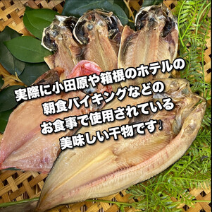 【毎月定期便12回】小田原、箱根の旅館、ホテル御用達！朝食干物セット 梅【 まぐろや 神奈川県小田原市 】