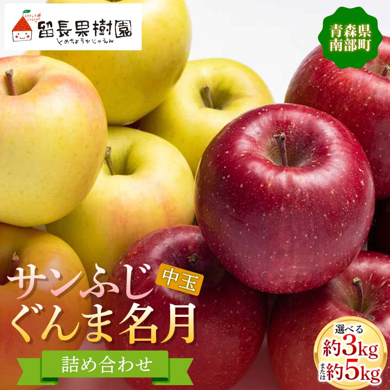 【ふるさと納税】 《選べる容量》サンふじ・ぐんま名月 詰め合わせ (中玉) 約3kg 約5kg 【留長果樹園】 青森りんご りんご リンゴ 林檎 アップル ふじ ぐんま名月 フルーツ 果物 くだもの 2種 セット あおもり 青森県 南部町 三戸 F21U-599var