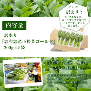【期間限定・訳あり】志布志湾小松菜ゴールド(計1kg・200g×5袋) 小松菜 こまつな こまつ菜 野菜 やさい 小分け パスタ ナムル スムージー ラーメン 炊き込みご飯 期間限定 訳あり 訳アリ 