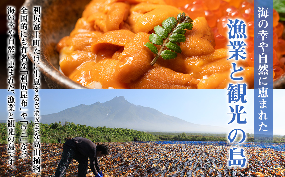 北海道 利尻富士町☆応援寄付金☆【返礼品なし】5,000円