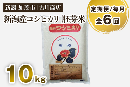 【定期便6ヶ月毎月お届け】新潟県加茂市産コシヒカリ 胚芽米10kg お米の専門店 古川商店 定期便 定期購入 定期 コシヒカリ 新潟県産コシヒカリ 米 お米