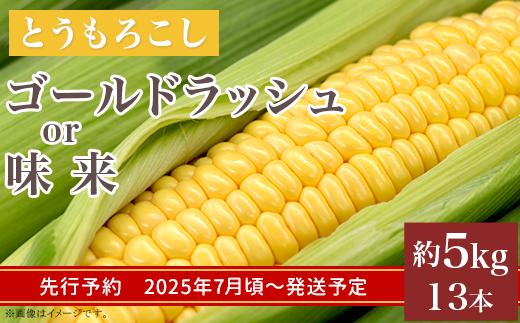 
            325 とうもろこし ゴールドラッシュ or 味来 約5kg 13本 朝採れ 黄 茨城 先行予約 2025年7月頃～発送予定
          