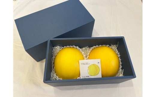 鳥取県琴浦町産　エリザベスメロン　秀品　2玉入り（約2kg）