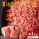 【ふるさと納税】＜はなが牛ミンチ 約1kg （約200g×5パック）＞ 牛肉 国産牛 ハンバーグ 炒め物 煮物 カレー ミートソース パスタ 挽き肉 ひき肉 晩御飯 パーティー 特産品 小分け ゆうぼく 愛媛県 西予市 【冷凍】『2か月以内に順次出荷』