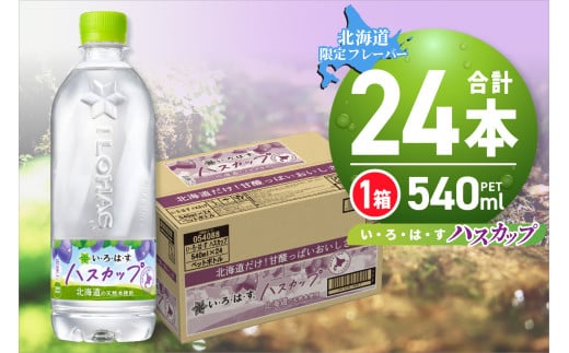 い・ろ・は・す ハスカップ　540mlPET×24本