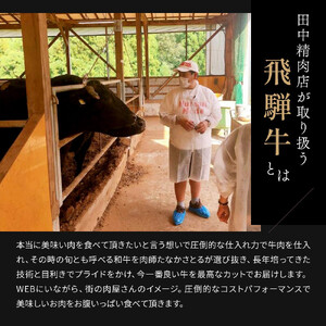 飛騨牛 サーロイン / リブロース 500g しゃぶしゃぶ
