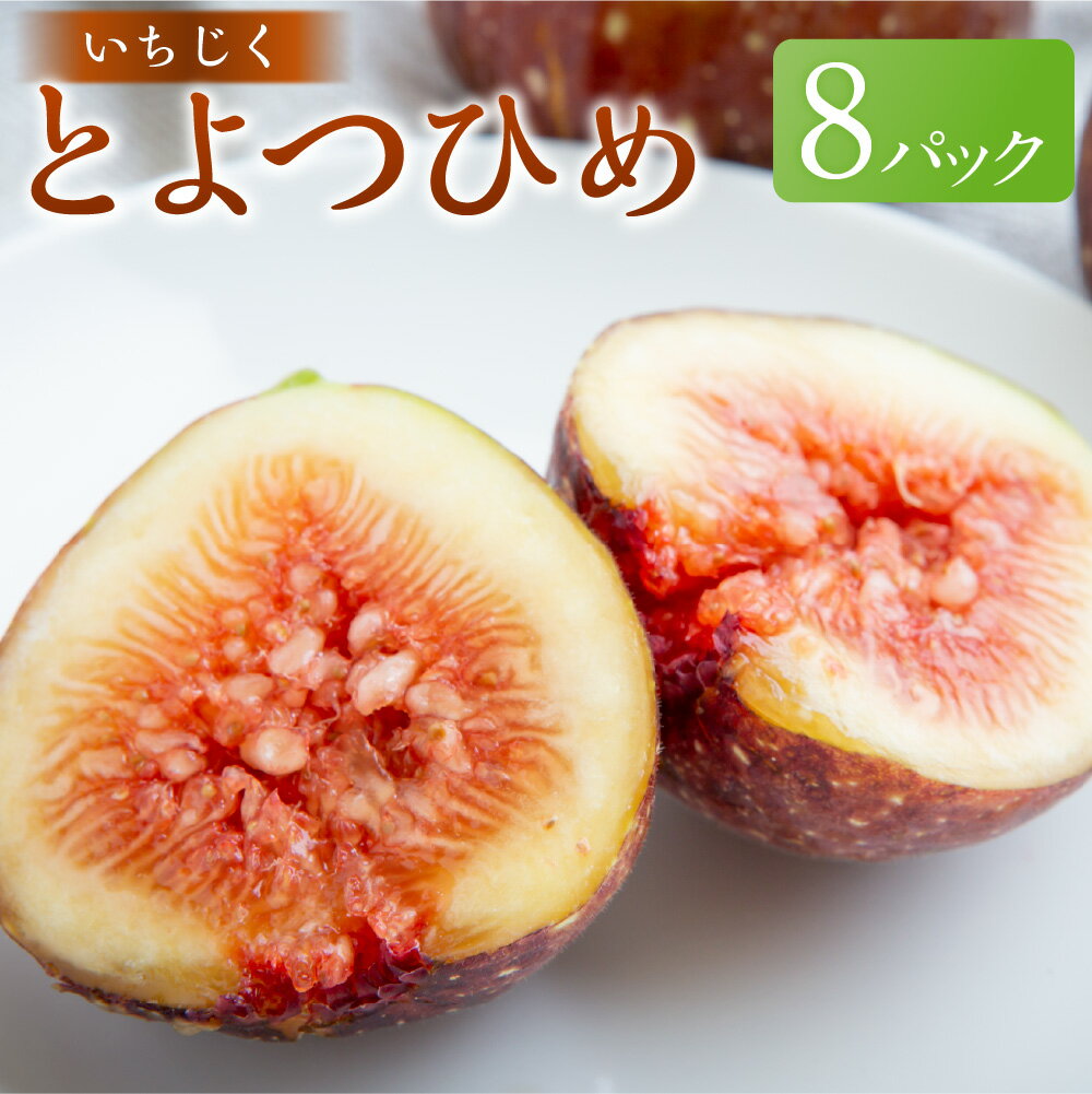 【ふるさと納税】いちじく とよみつひめ 8パック 1パックあたり3～5玉 イチジク 無花果 フルーツ くだもの 果物 果実 冷蔵 福岡県産 国産 九州 福岡県 うきは市 送料無料 【2026年7月下旬～8月下旬発送予定】