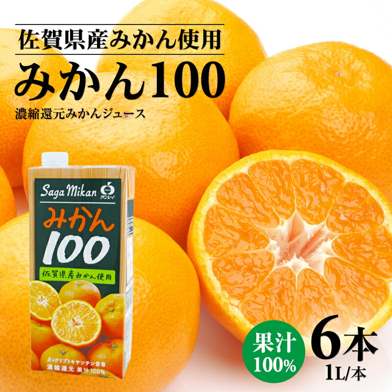 【ふるさと納税】 佐賀県産みかん使用 みかん100（ 紙パック 1L×6本）温州みかん 天然 果汁100% ビタミンC 酸味 甘み みかん ジュース 佐賀県 小城市 送料無料 【B110-044】