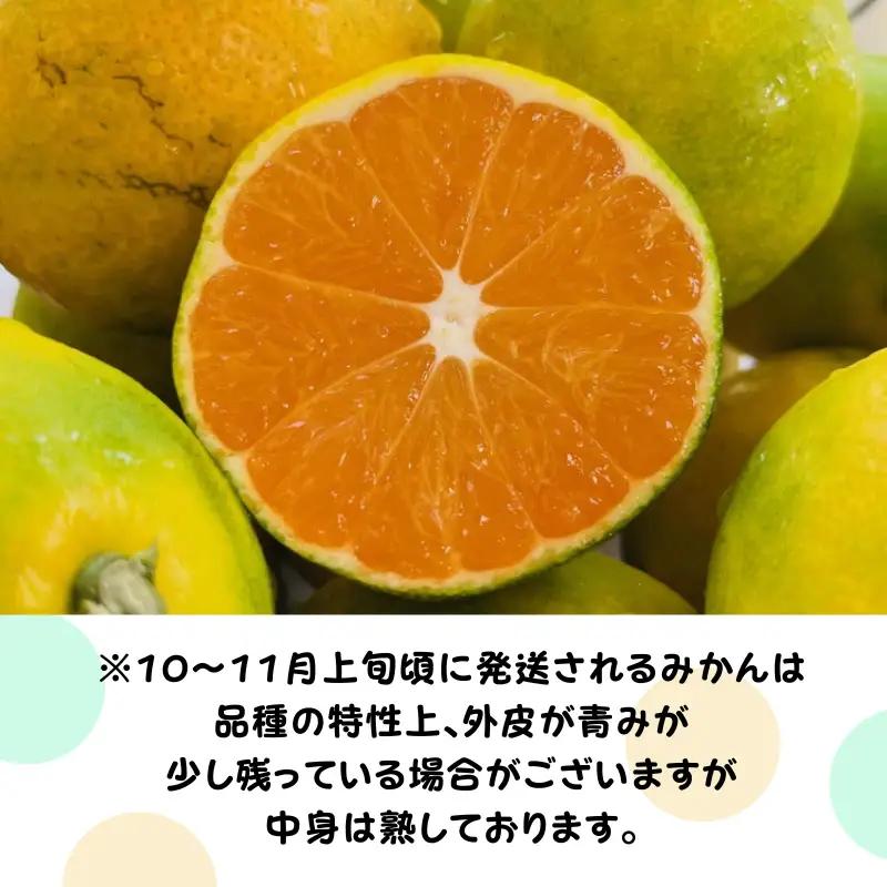 有田育ちの ご家庭用 完熟 有田みかん 5.2kg(5kg+200g) 農家直送 わけあり 訳あり ※2026年10月上旬から下旬頃に順次発送予定 / 温州みかん みかん フルーツ 果物  柑橘 くだ