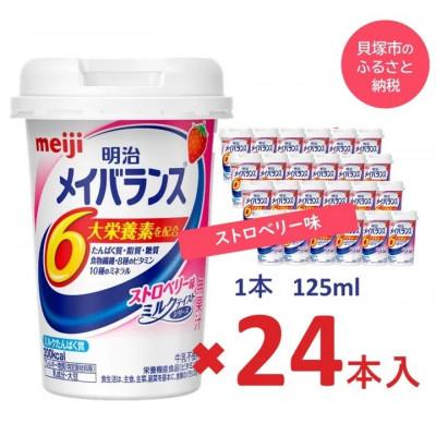 ふるさと納税 貝塚市 明治のメイバランス　ストロベリー味　125ml×24本入り