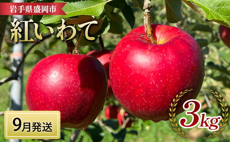 
            りんご 先行予約 紅いわて 3kg (8～12個) 北田りんご園 完熟 フルーツ 果物 夏 秋 旬 旬のフルーツ 季節のフルーツ 先行 予約 林檎 リンゴ 岩手 岩手県 盛岡 盛岡市 9月発送　お届け：2024年9月下旬の発送
          