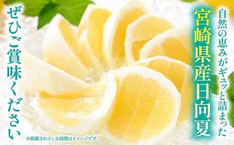 《2026年発送》【数量・期間限定】宮崎県産日向夏2.5kg　化粧箱入り_M359-005