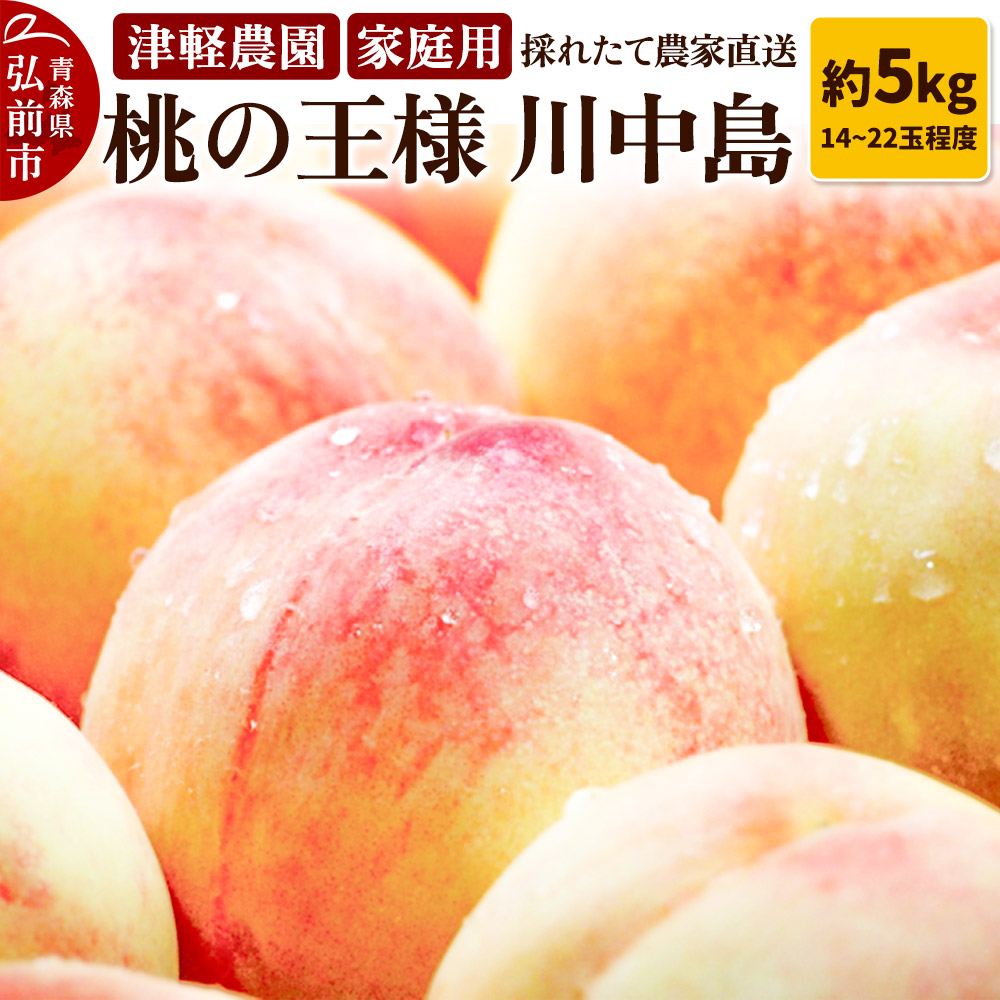 【26年8月発送】もも【2026年産 桃の王様 川中島】家庭用 約5kg 14～22玉程度 津軽農園 採れたて 農家直送