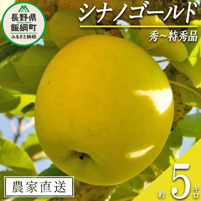 【ふるさと納税】 りんご シナノゴールド 秀 〜 特秀 5kg 永正の地蔵尊神谷農園 沖縄県への配送不可 令和7年度収穫分 長野県 飯綱町 〔 信州 果物 フルーツ リンゴ 林檎 長野 16000円 予約 農家直送 〕発送時期：2025年11月中旬〜2025年12月下旬 {***}