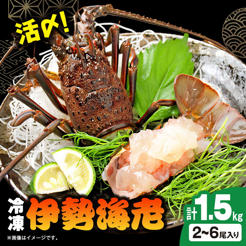 【ふるさと納税】活〆冷凍伊勢海老 1.5kg【配送不可地域：離島】【1719382】
