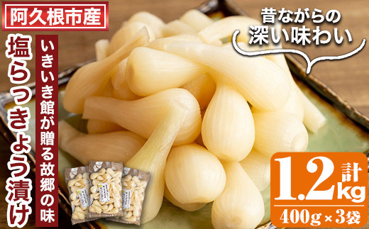 
                  期間限定！鹿児島県産ラッキョウ使用！塩らっきょうの漬け物(400g×3袋・計1.2kg)国産 九州産 鹿児島産 おつまみ 漬物 辣韭【あくね旬の店いきいき館】akn015-06
                