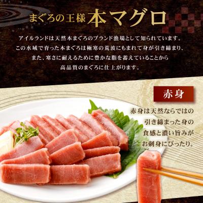 ふるさと納税 室戸市 まぐろの王様! 天然本まぐろ 味わいセット 400g |  | 01