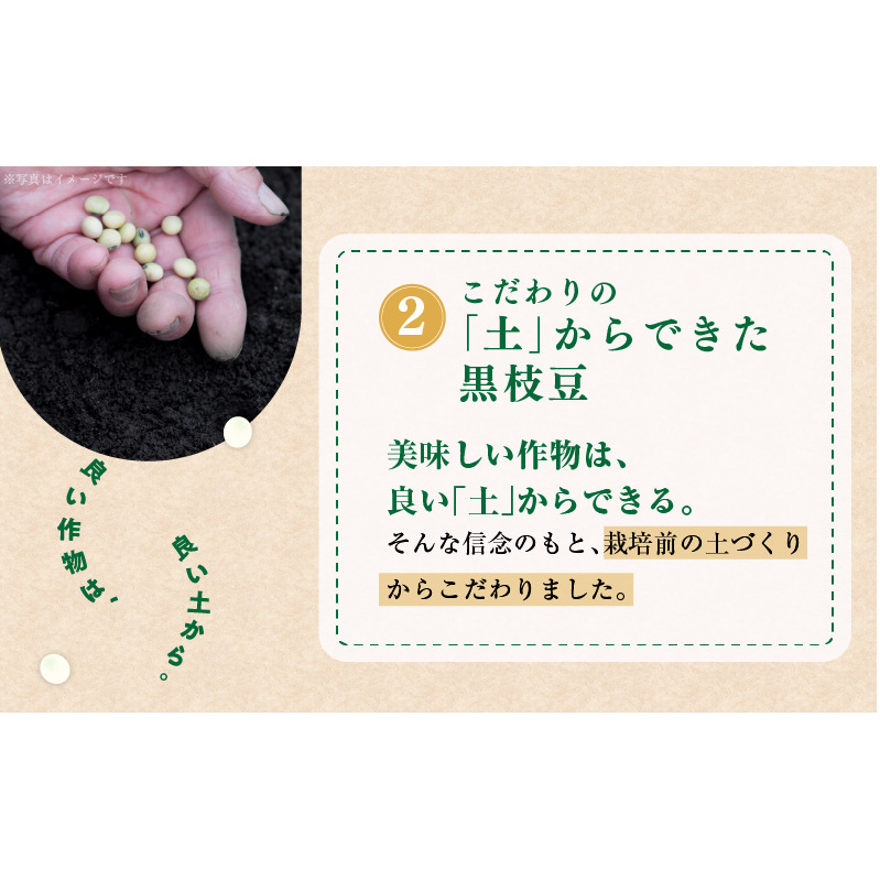 【先行予約】畑から直送・朝採り黒枝豆3.6kg  G1108_イメージ3