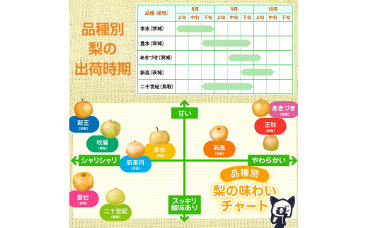 阿部農縁 福島県の和梨 品種おまかせ 旬のなし3kg(8~11