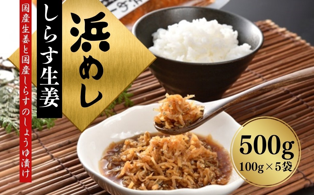 
                  【しらす】浜めししらす生姜 500g(100g×5袋) | 漬物 詰め合わせ ギフト 贈り物 贈答品 おつまみ おかず 香の蔵 しらす 生姜
                