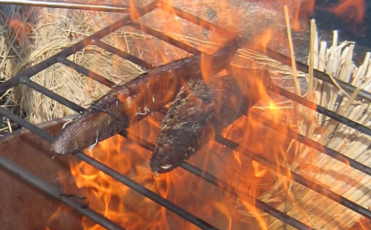 室戸流藁焼きかつおたたきセット　１１００〜１２００ｇ