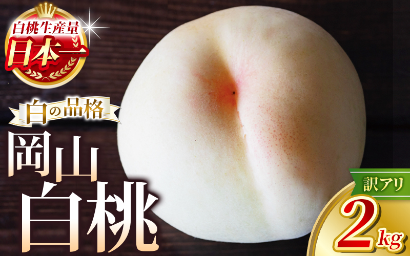 【2026年先行予約】 岡山白桃 2kg 訳アリ 白桃 花田青果【6月下旬～7月下旬まで順次発送予定】/ 桃 もも モモ 果物フルーツ 訳あり品 岡山県【hnds003】