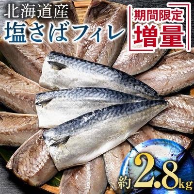 ふるさと納税 釧路市 北海道産 無添加 塩さばフィレ約2.8kg &lt;釧之助 ご飯に合うおかずの定番&gt; F4F-8043