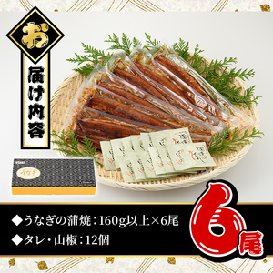 うなぎ 蒲焼 国産 ( 計960g以上) うなぎ 【西日本養鰻】C7-v02