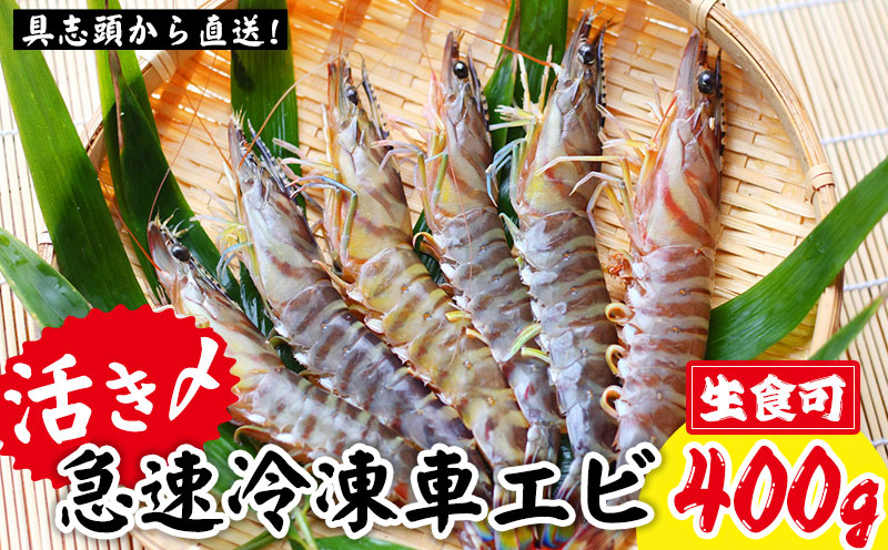 【訳アリ】活き〆急速冷凍車エビ（生食可・約400g）【先行受付】- 2025年8月より順次発送 海老 車えび 車海老 冷凍 生エビ 国産 養殖 えび天 エビフライ 塩焼き 人気 沖縄県 八重瀬町