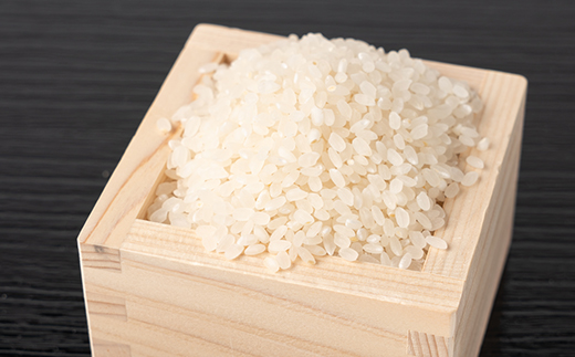 筑波山麓産米を中心に厳選した【茨城県産こしひかり】白米10kg 令和7年産【配送不可地域：離島・沖縄県】【1700082】