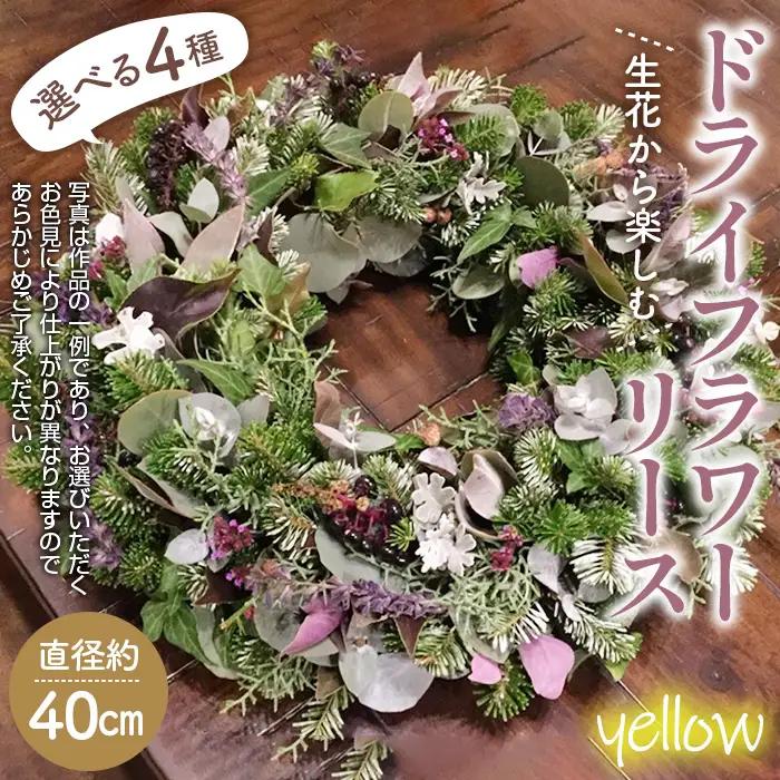 No.479-03 生花から楽しむドライフラワーリース【季節の草花 イエロー系】