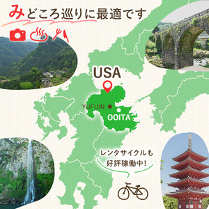 宇佐ホテルリバーサイド 1泊素泊まり宿泊券(ツインルーム・焼酎お土産付き)【117400400】【宇佐ホテルリバーサイド】