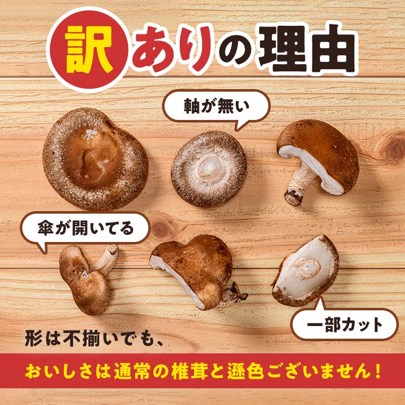 【2026年2月発送】 生しいたけ【形が悪いなどの訳あり品】1.6kg（200g×8袋） F4G-0318