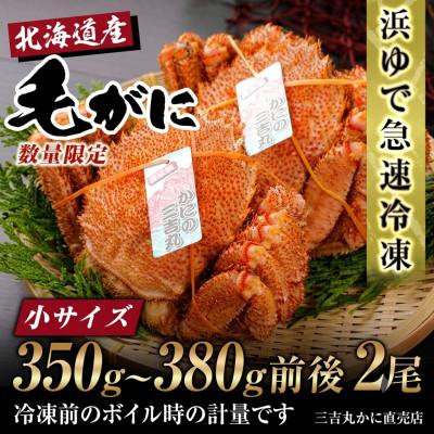 ふるさと納税 白老町 【浜ゆで自社タグ付】北海道産ボイル毛ガニ350g〜380g前後×2尾