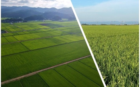 【令和7年産】Gセレクション はえぬき 白米 5kg(5kg×1) 山形県鶴岡市産　株式会社グラノフ