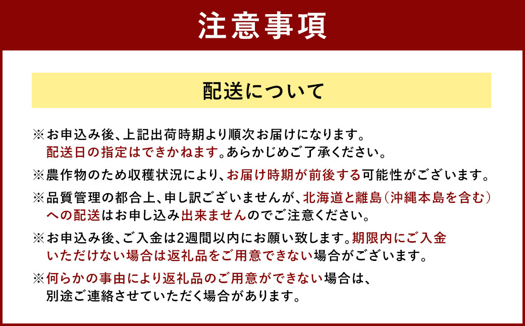  福岡産【春】あまおう3パック いちご フルーツ デザート【2025年2月上旬～3月下旬発送予定】