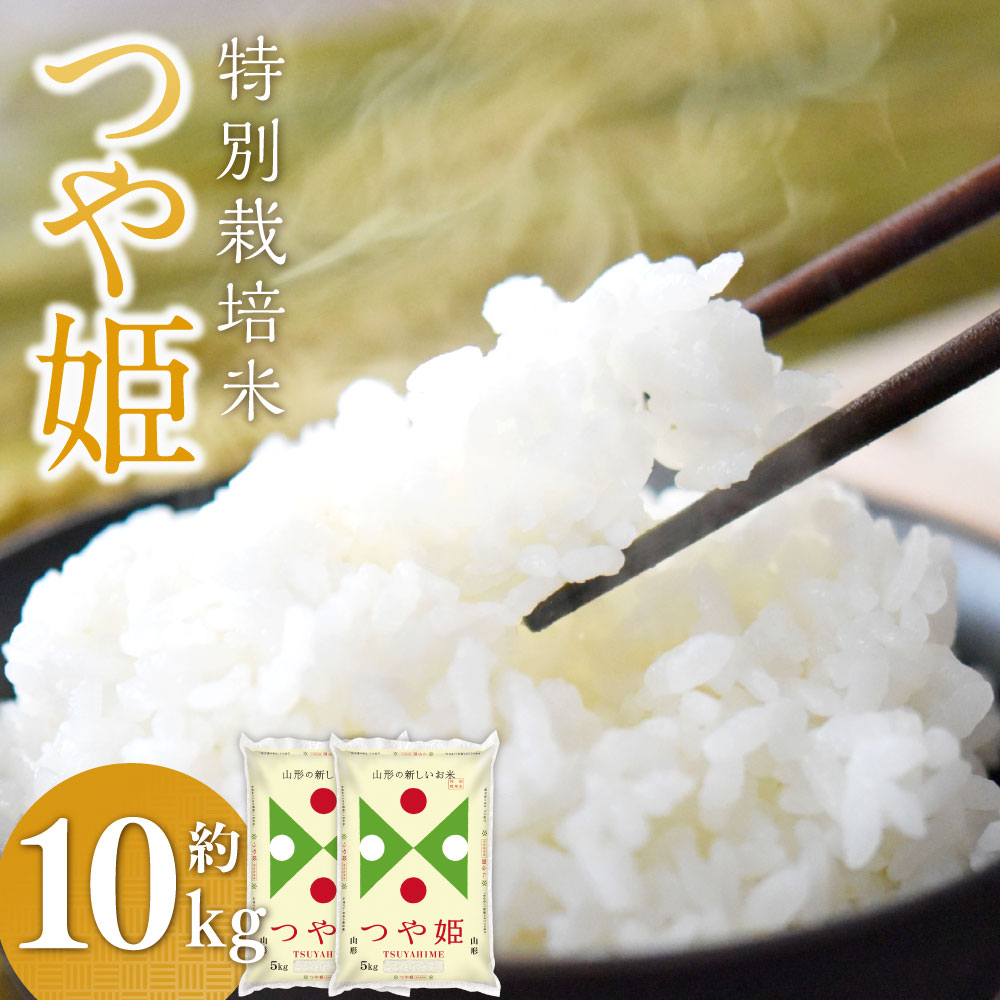 【ふるさと納税】＼レビューキャンペーン実施中／ 特別栽培米〈令和6年産〉 つや姫 約10kg（約5kg×2袋セット） 白米 10キロ 精米 ブランド米 1等米 お米 山形県 白鷹町 送料無料 【2025年9月下旬まで順次発送予定】
