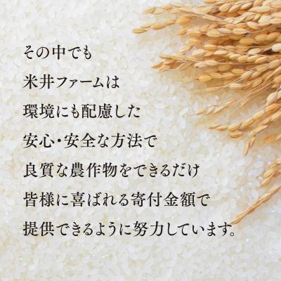 ふるさと納税 津山市 おいしいお米(5kg) 無洗米 リピーター続出 きぬむすめ |  | 02