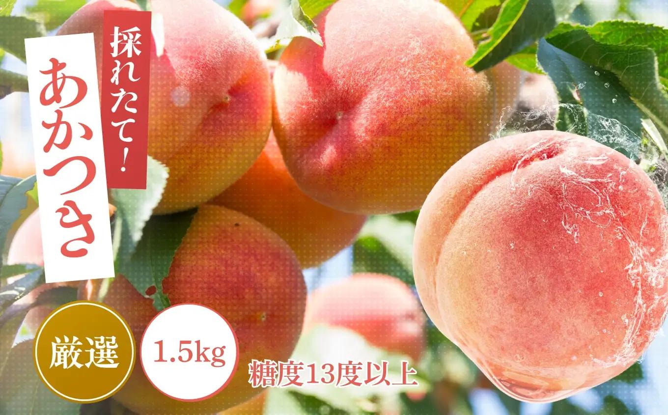 桃 あかつき 糖度13度以上 約1.5kg 5～6個入 【2026年7月中旬～発送】